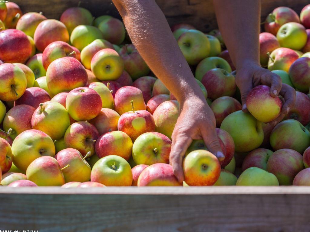 វិធីសាស្ត្របង្កើនប្រាក់ចំណេញដោយប្រើប្រាស់ឧបករណ៍ឌីជីថល