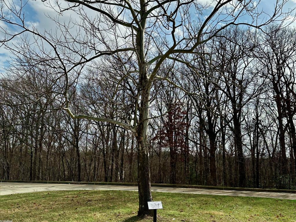 ឱកាសនិងបរាជ័យក្នុងការអប់រំ